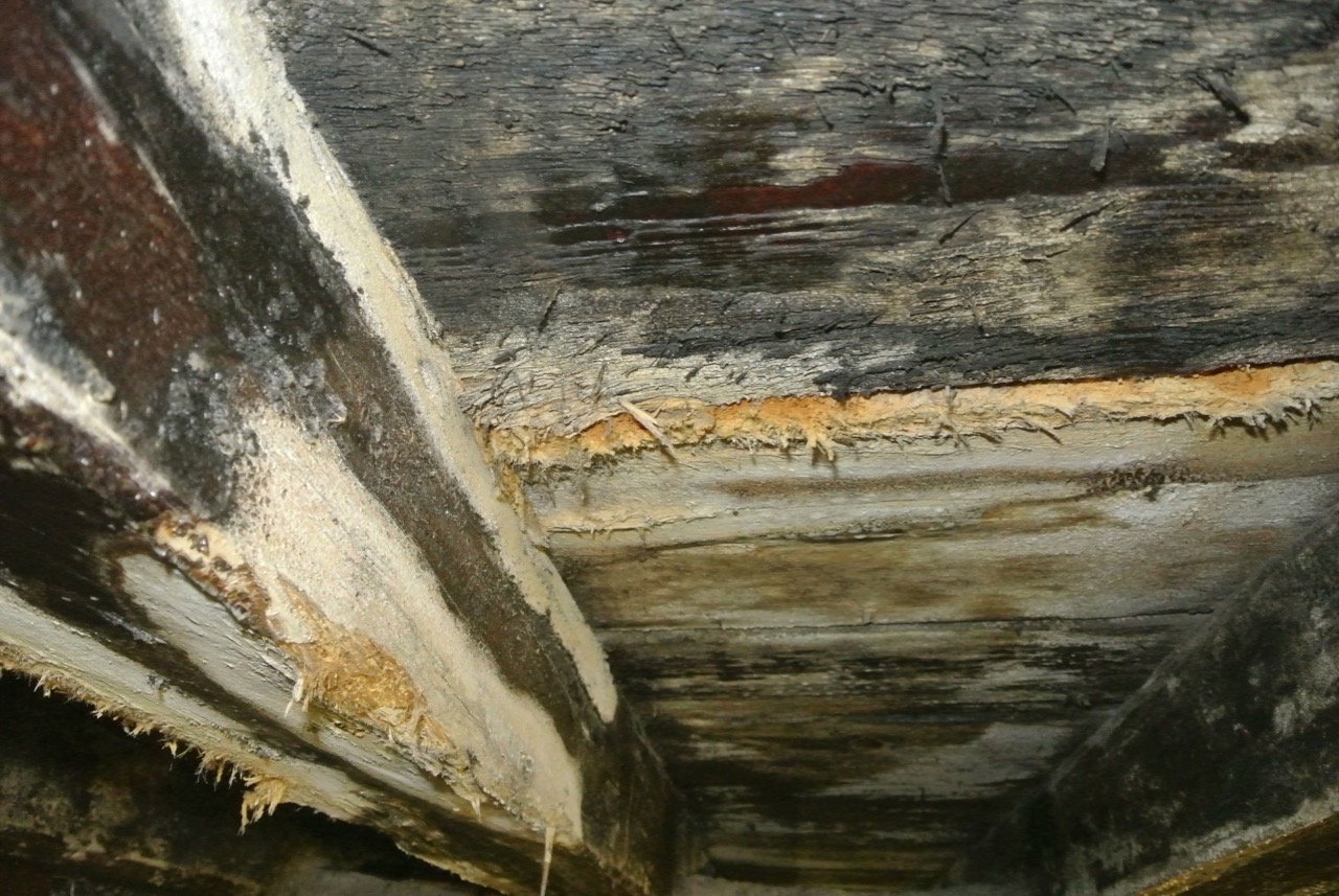 Mazeration von Holz - monumentconsult.de